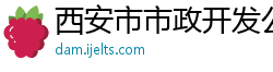 西安市市政开发公司